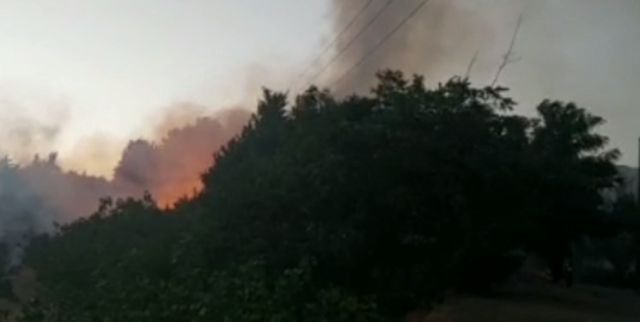 حادثه حریق بوستان پردیسان تهران